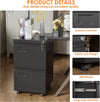 2 Drawer Mobile File Cabinet, Metal Under Desk Cabinet With