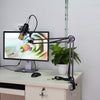 Net microphone stand set | Buy Online Best Price