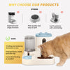Fully Automatic 2in1 Cat Food Dispenser - Integrated Water A
