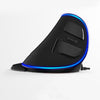 Vertical Ergonomic Snail RGB Anti-Mouse Hand Wired Mouse | B