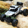 Remote control car | Buy Online Best Price