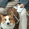 Dog Leash Retractable Leash And Dog Collar Spotlight Automat
