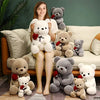 23-45cm New Lovely Hug Roses Teddy Bear Plush Pillow Stuffed