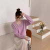Womens Solid Color Long-Sleeve V-Neck Sweater | Buy Online B