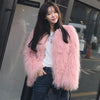 Women's Solid Color Short Faux Shearling Fur Coat | Buy Onli